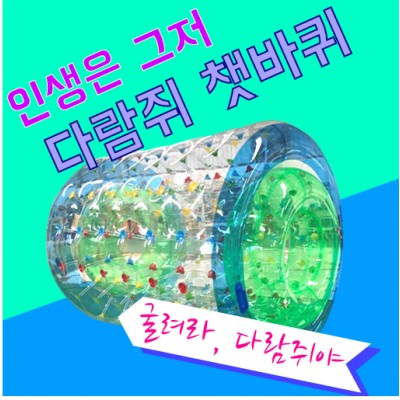 에어다람쥐 통