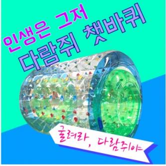에어다람쥐 통